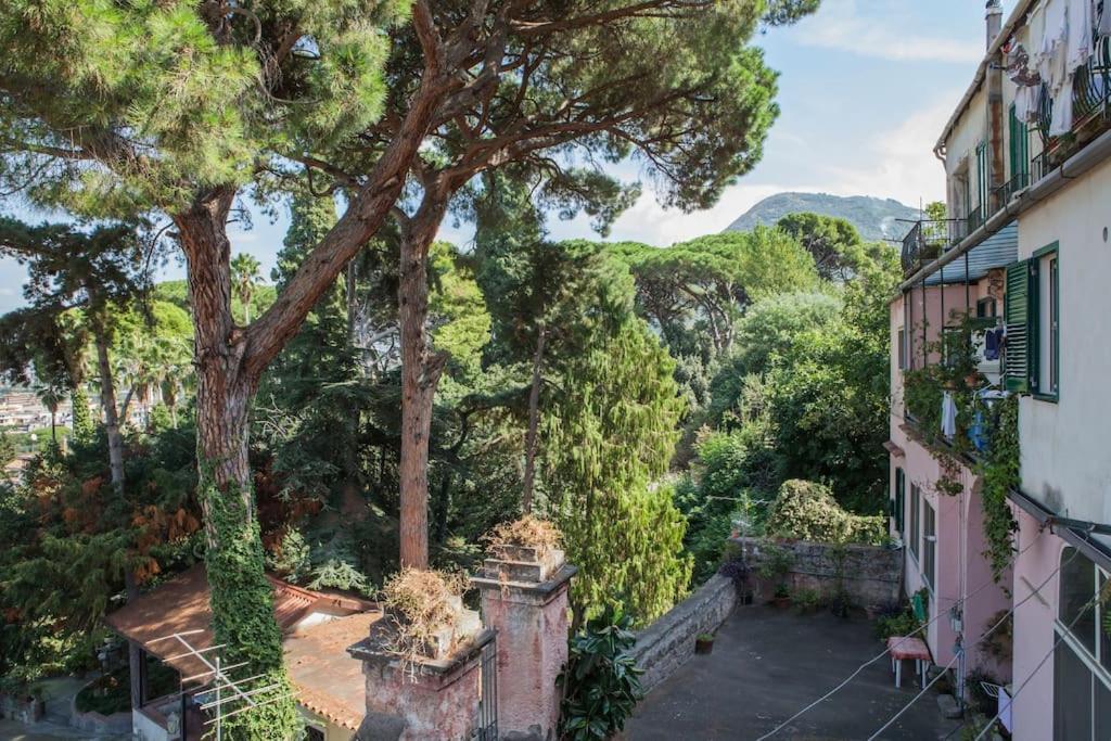 Апартаменты Casa Panoramica Кастелламмаре-ди-Стабия Экстерьер фото